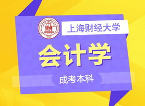 上海成考擇校指南 名校聚集，專業(yè)齊全，助力職場(chǎng)人輕松提升學(xué)歷